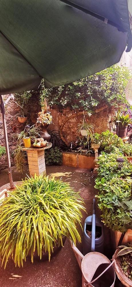 La Corte Di Quiliano Dış mekan fotoğraf